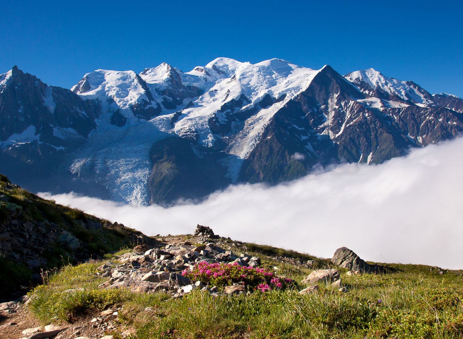 randonnée tour du mont-blanc chamonix rando à pied