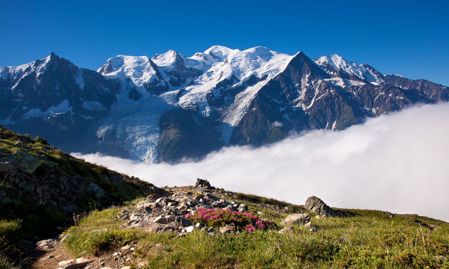 randonnée tour du mont-blanc chamonix rando à pied